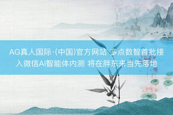 AG真人国际·(中国)官方网站 多点数智首批接入微信AI智能体内测 将在胖东来当先落地