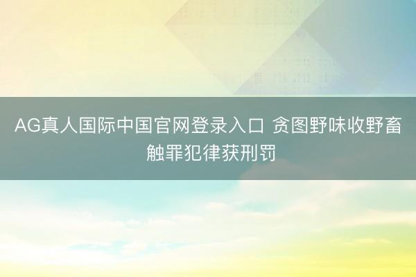 AG真人国际中国官网登录入口 贪图野味收野畜 触罪犯律获刑罚